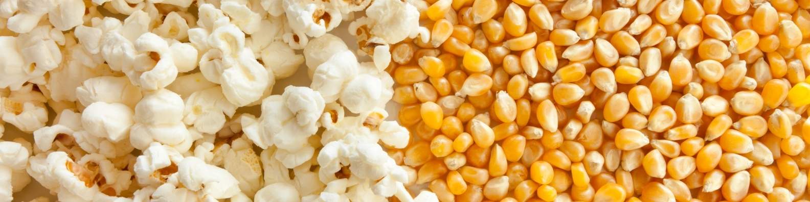 Healthy Popcorn Recipes: 12 Simple Ways to Add Flavour