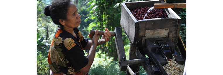 Organic fair trade coffee