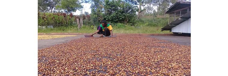 Farmers receive training to maintain organic certification