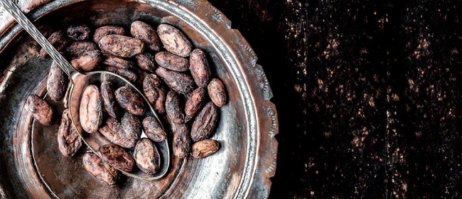 Organic Cacao Beans Chocolate and Love