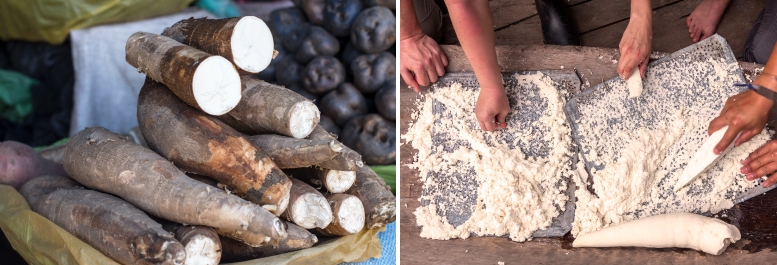 Organic Tapioca Flour Cassava Root
