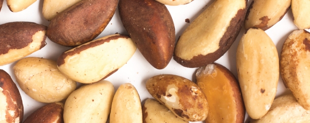 Organic Brazil Nuts Australia Online