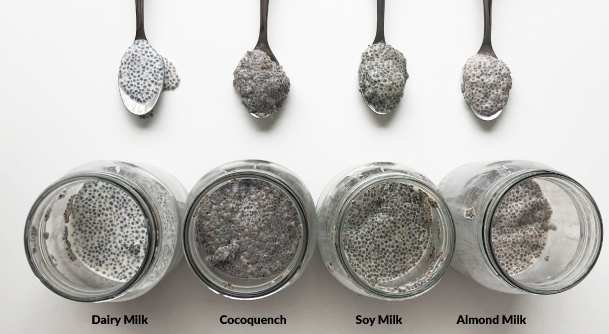 Which Milk is Best for Chia Pudding