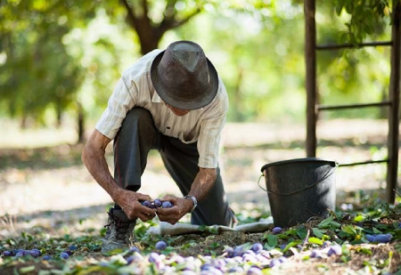 Australian Superfood Co