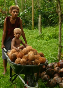 Niugini Organics Fair Trade