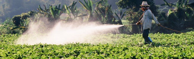 Organic Terminology Pesticides