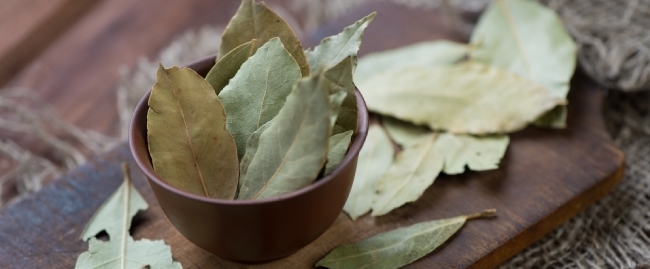 Dried Bay leaves natural pest control