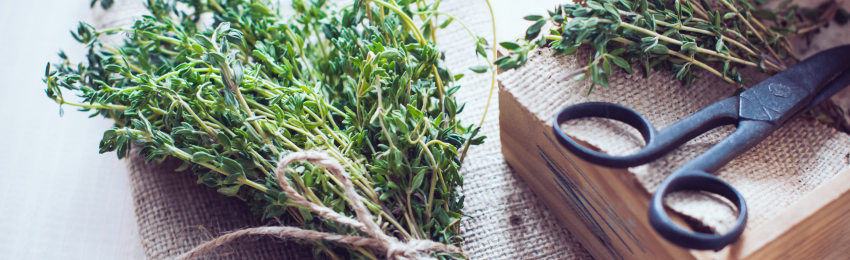 Natural Pest Control in the Pantry - Honest to Goodness