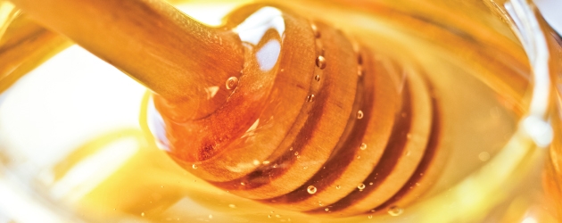 Honey