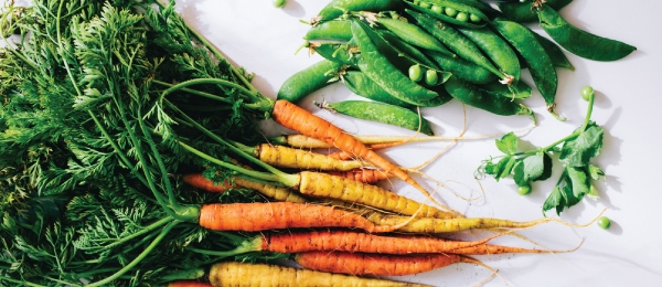 Vegetarian Vegan Plant Based Diet