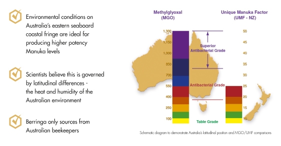 Australia New Zealand MGO UMF Comparison Map