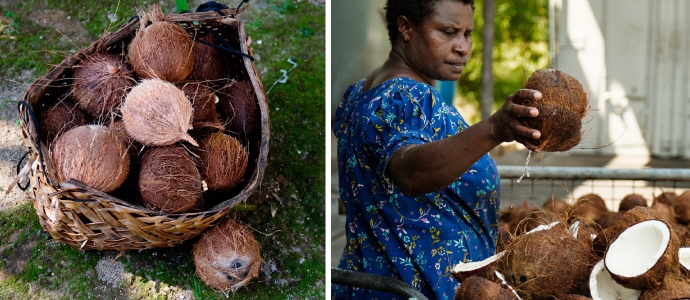 Niugini Organics Fair Trade Coconut