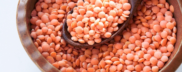 Lentils Plant Based Protein