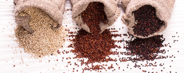 Quinoa Plant Based Protein