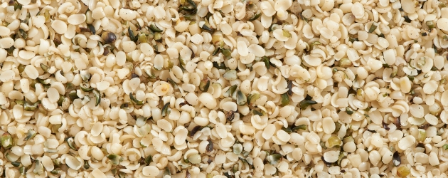 Hemp Plant Based Protein