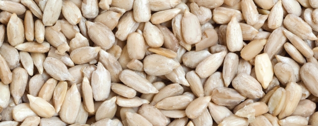 Organic Sunflower Seeds