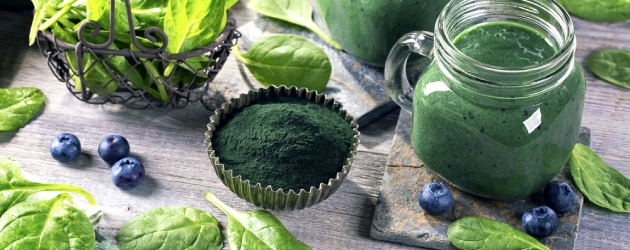 Spirulina Plant Based Protein