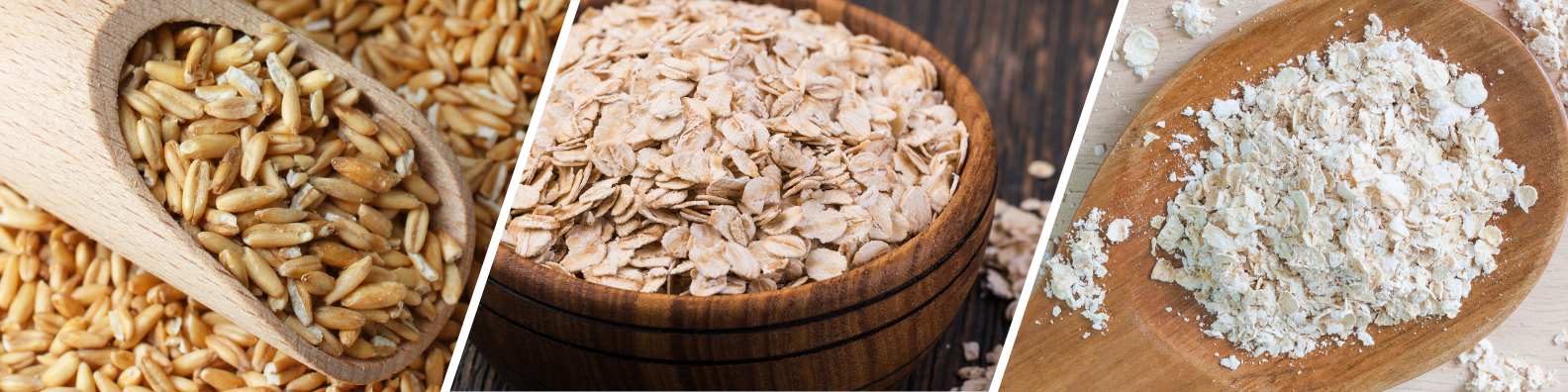 Different Types of Oats: