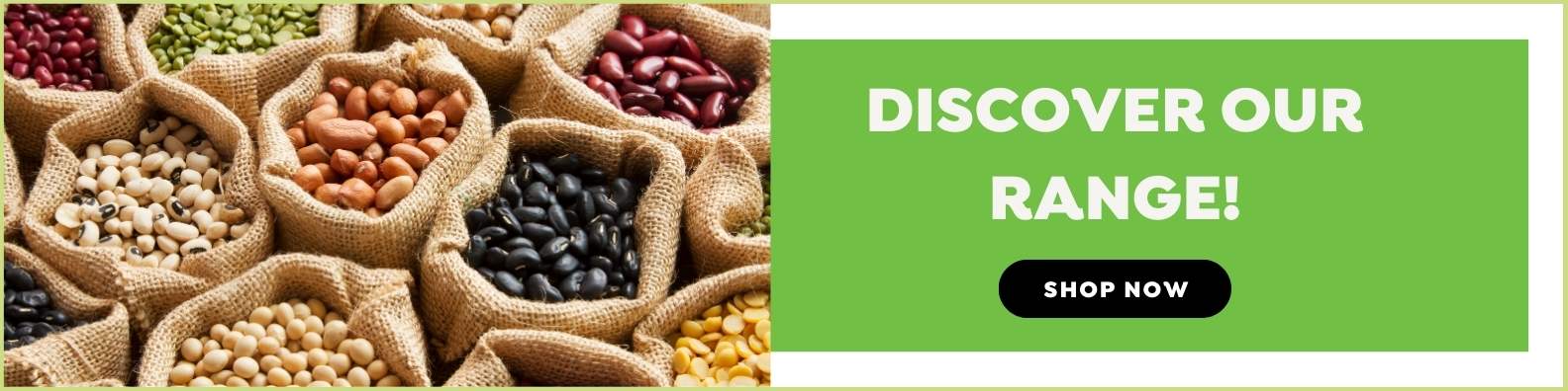 Discover Honest to Goodness's Range of Beans and Legumes