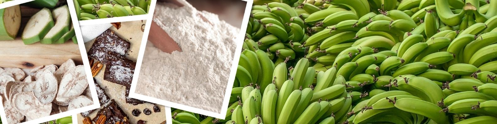 Green Banana Flour Blog