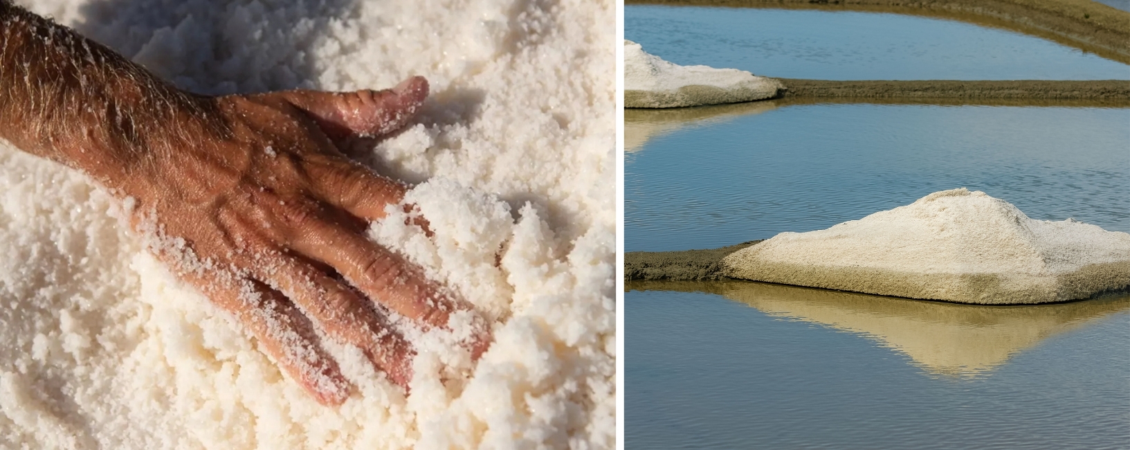 Guerande Salt