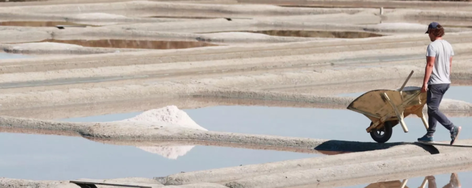 Guerande Salt
