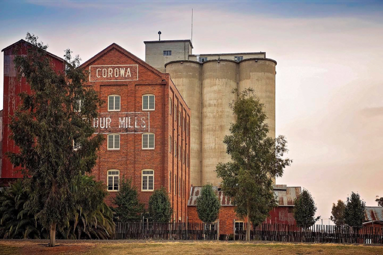 green grove organics junee licorice factory