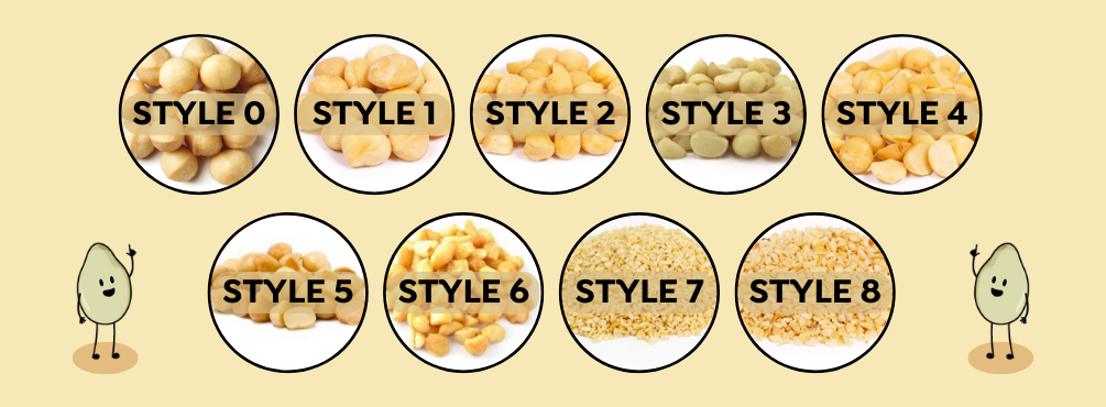 Macadamia Nuts Size Chart