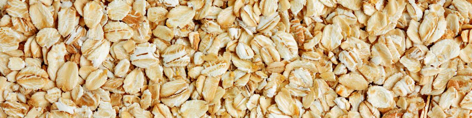 Oats 101: A Comprehensive Guide to Understanding and Enjoying Oats