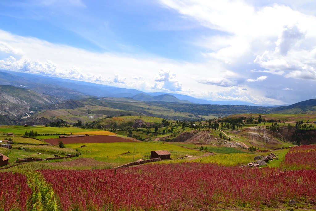 Healthy farmland