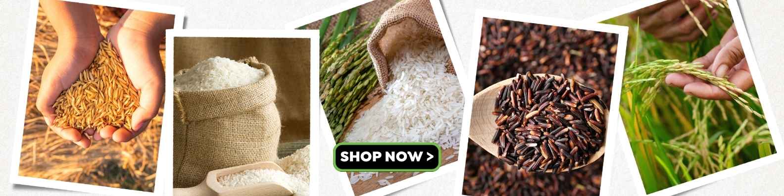 Organic Rice Products | health food store near me
