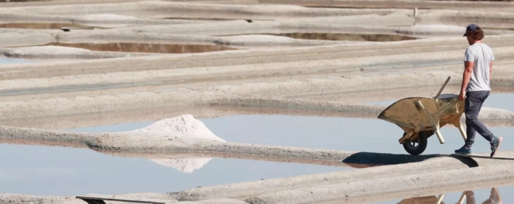 Celtic Sea Salt