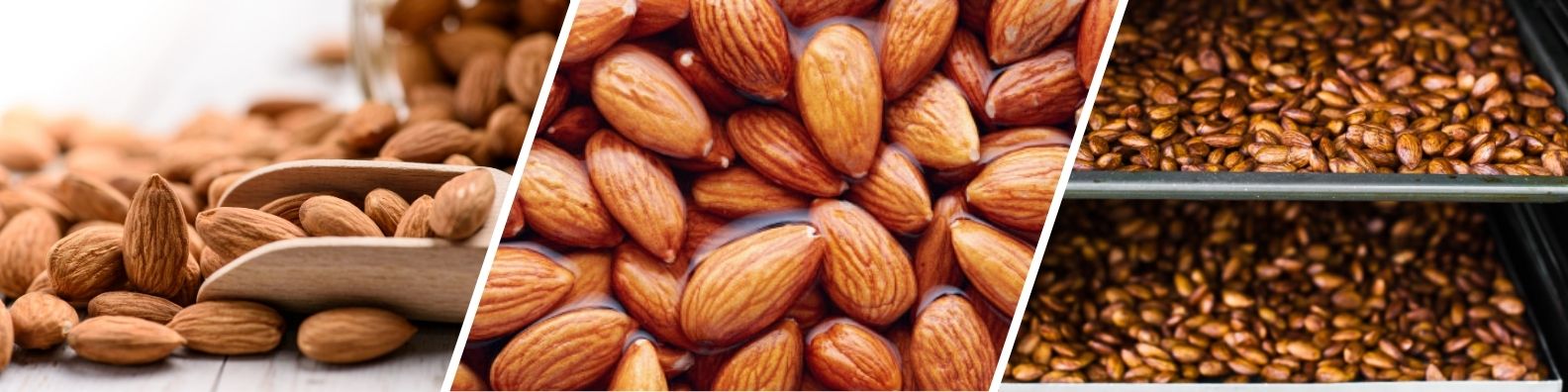 Activating Nuts: A Step-by-Step Guide